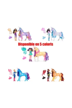Coffret 1 licorne et 1 poupée Ecole des licornes (assortiment) Spin Master
