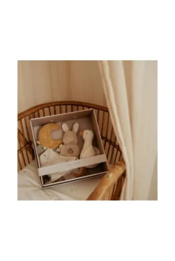 Coffret cadeau naissance petite oie, Nerwborn de Little dutch