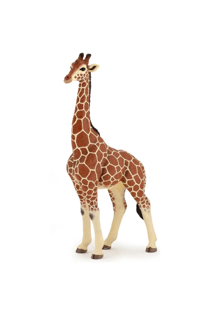 Figurine Girafe mâle Papo