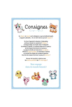 Livre Album Animaux Kawaii, méthode de dessin et coloriages, pochette 5 feutres pailletés et 1 crayon à papier
