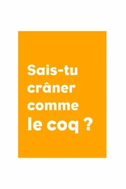 Livre Au Galop