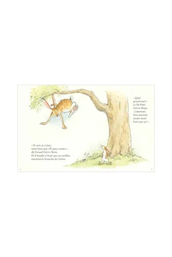 Livre Devine combien je t'aime - L'école des loisirs