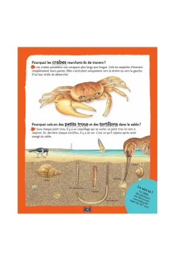 Livre La petite encyclopédie des pourquoi ? - Gallimard Jeunesse