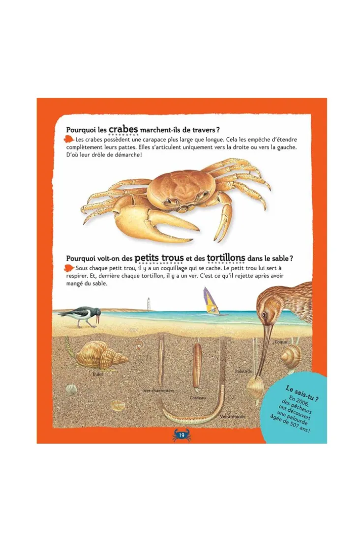 Livre La petite encyclopédie des pourquoi ? - Gallimard Jeunesse