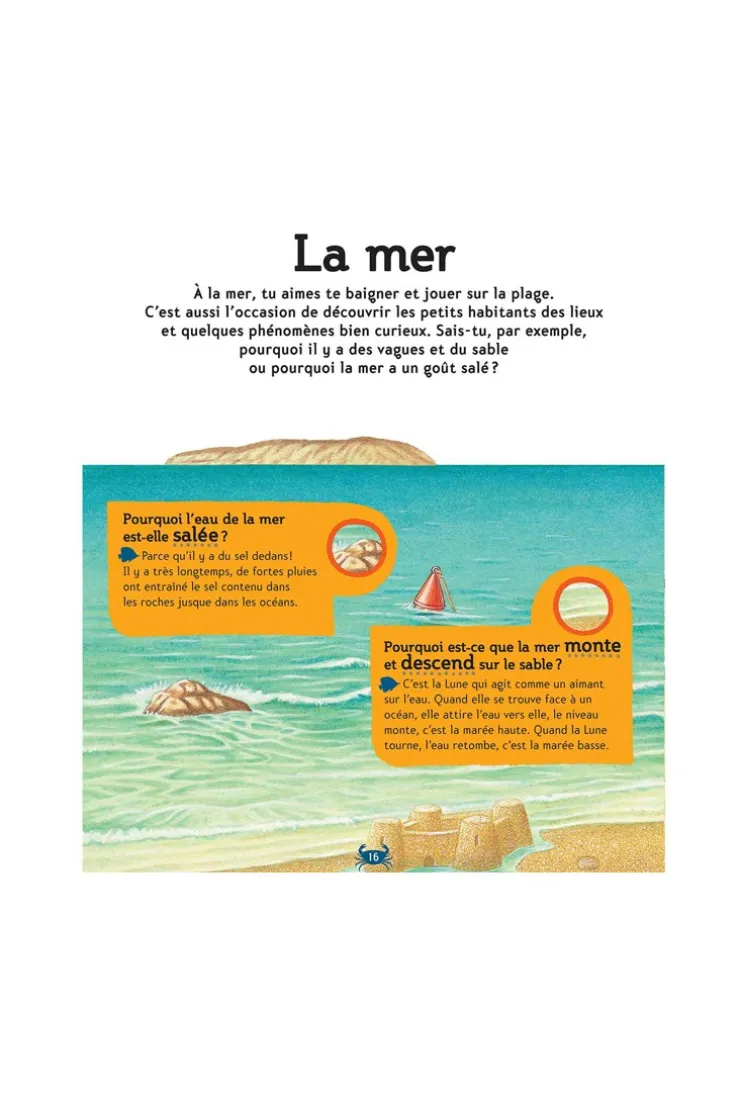 Livre La petite encyclopédie des pourquoi ? - Gallimard Jeunesse