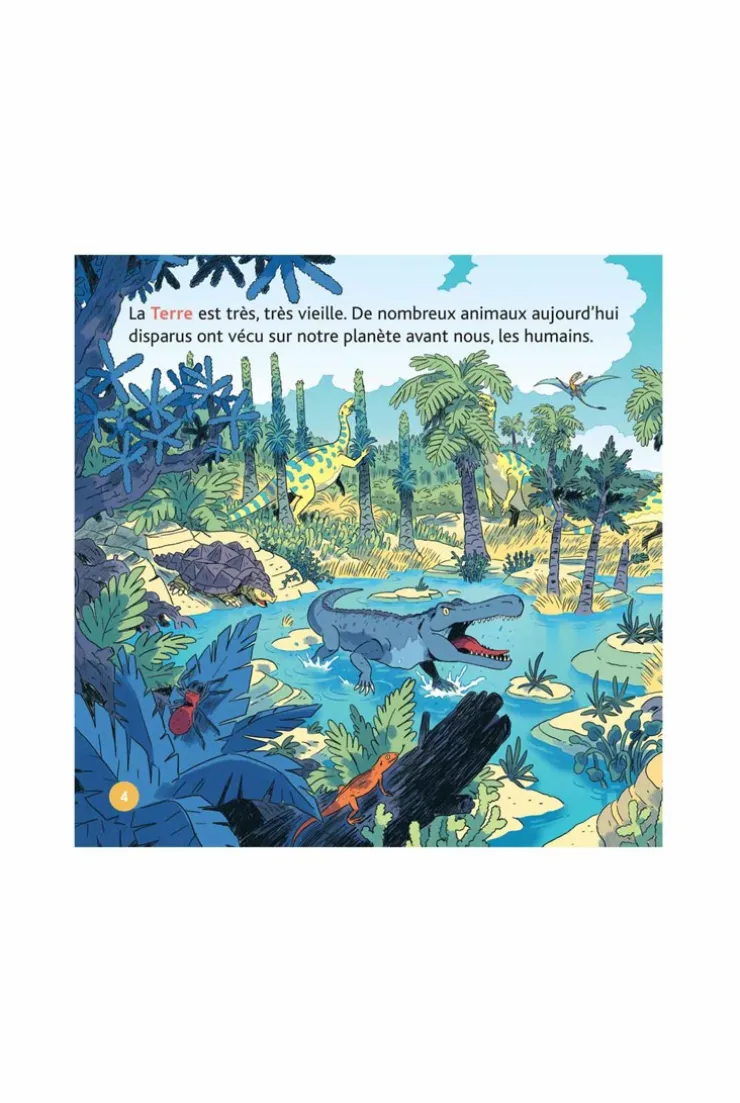 Livre Les dinosaures - Milan Jeunesse
