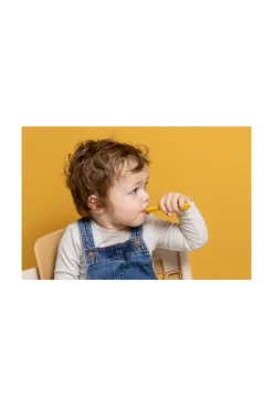 Pack de 2 premières cuillères pour bébé, Mr lion