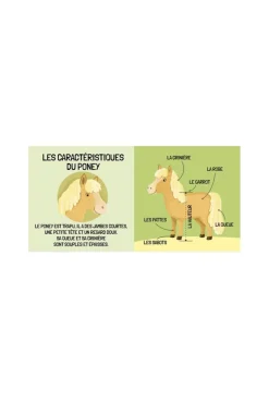 Puzzle et livre Le monde des Poneys Coffret QBOX Sassi