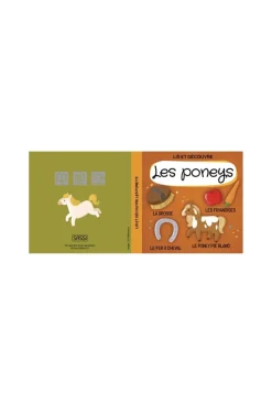 Puzzle et livre Le monde des Poneys Coffret QBOX Sassi