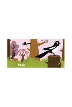 Sonore Les oiseaux