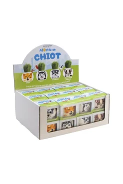 Tête en herbe à pousser Drôle de pots chiens