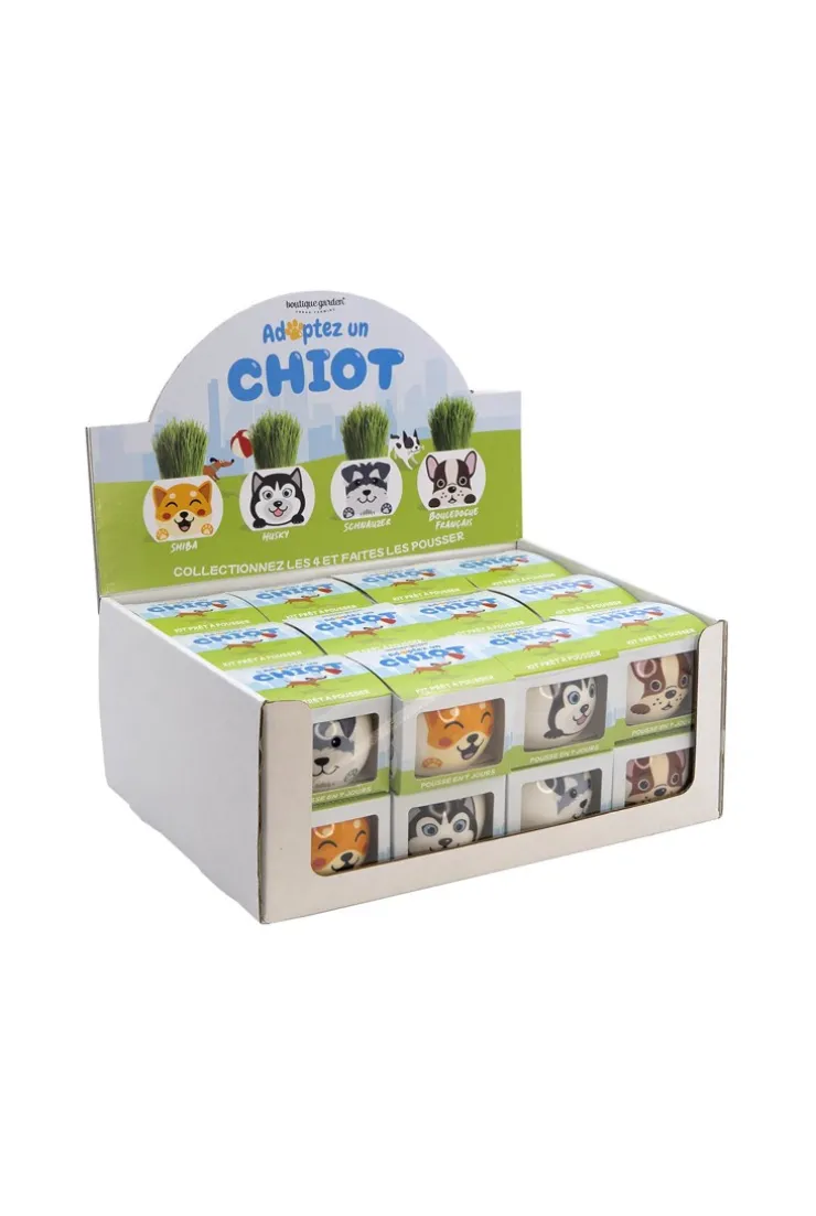 Tête en herbe à pousser Drôle de pots chiens